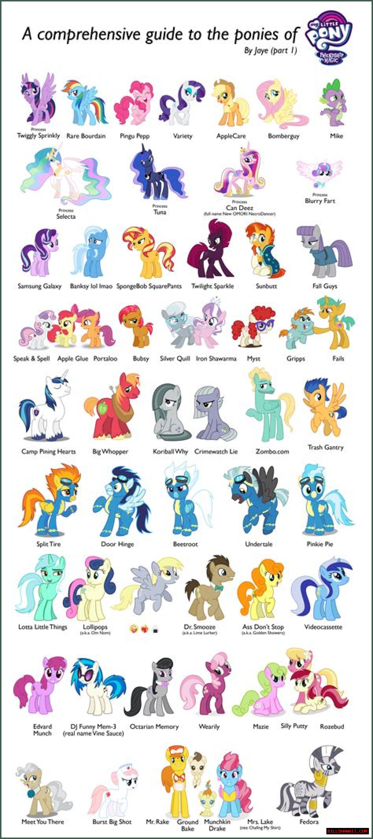 A Comprehensive Guide To Amanda Swisten: Biography, Career, And Achievements