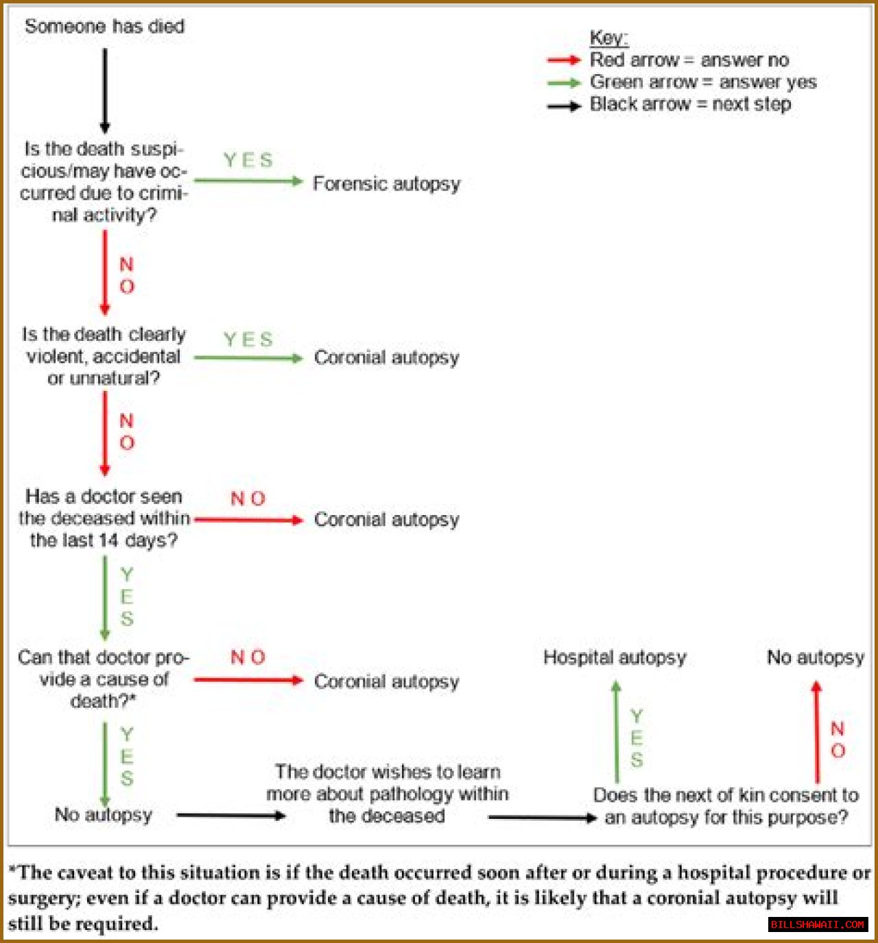 Deedee Autopsy Report: A Comprehensive Analysis