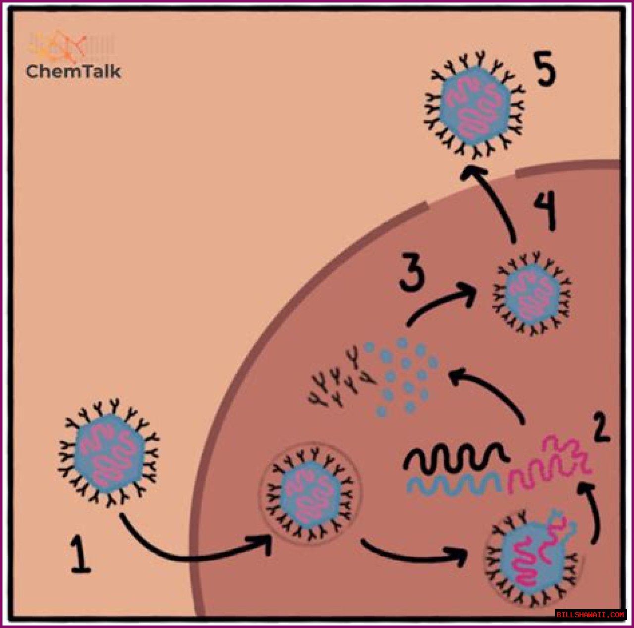 Exploring Jackerman Videos: The Rise Of A Viral Sensation