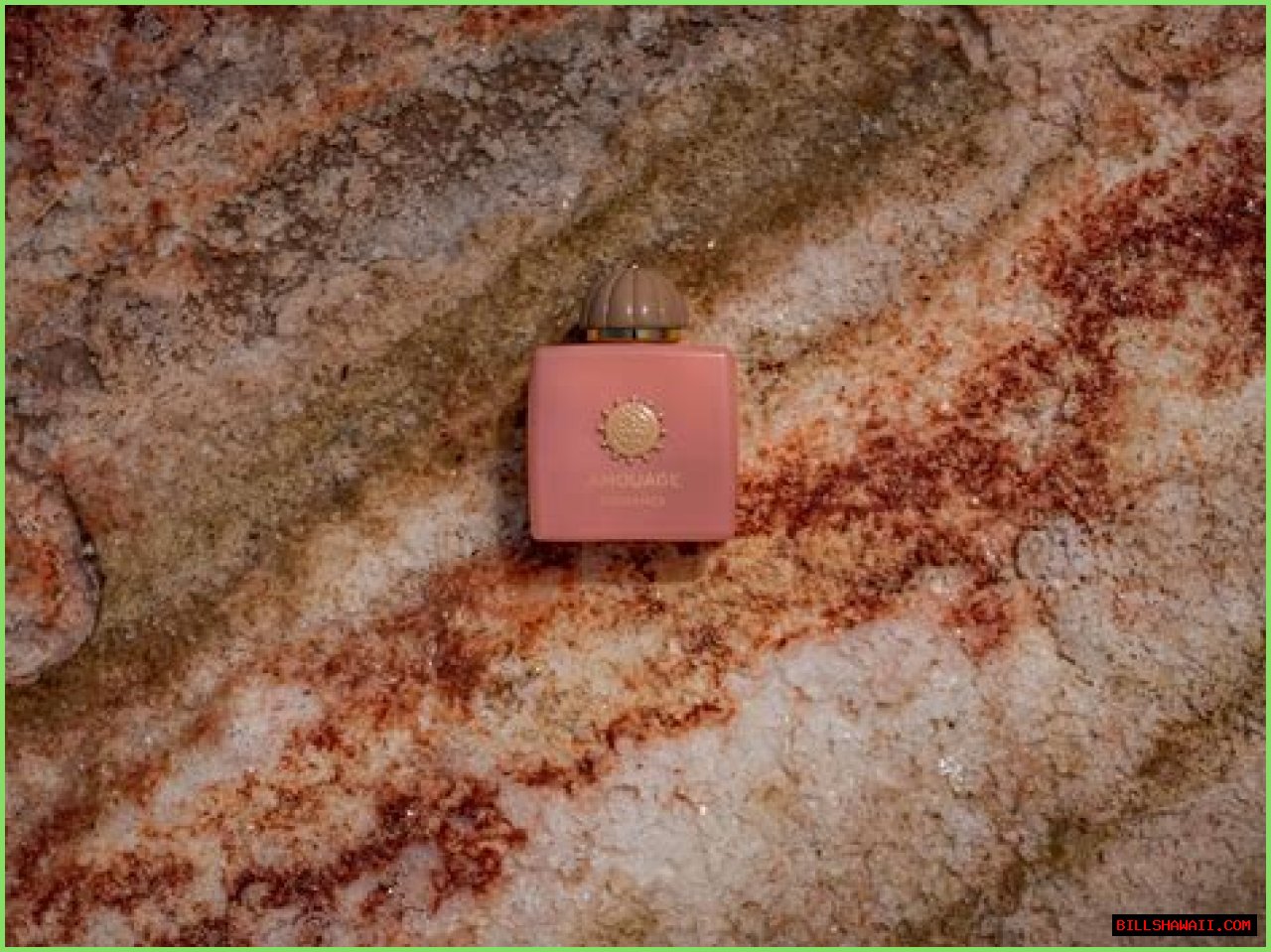 Tony Ressler: A Deep Dive Into The Life And Career Of A Multi-Millionaire Investor