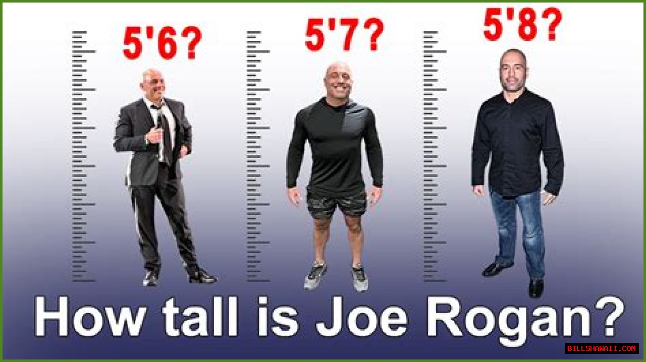 Understanding John Rogan's Height: The Impact On His Career And Public Image